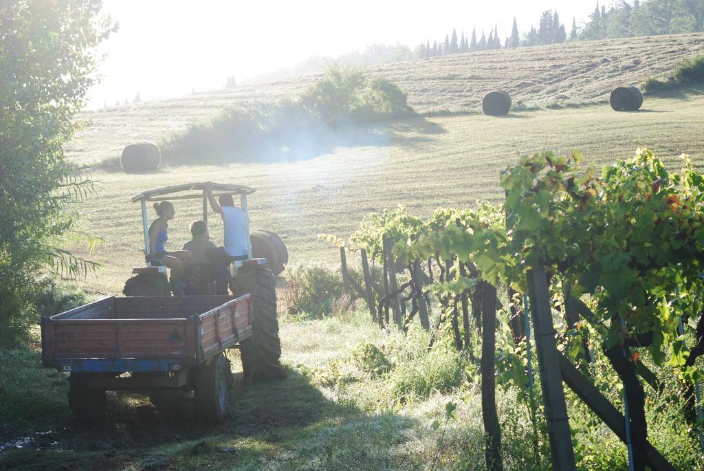Agriturismo Fattoria Voltrona San Gimignano Exterior foto