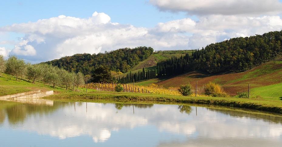 Agriturismo Fattoria Voltrona San Gimignano Exterior foto
