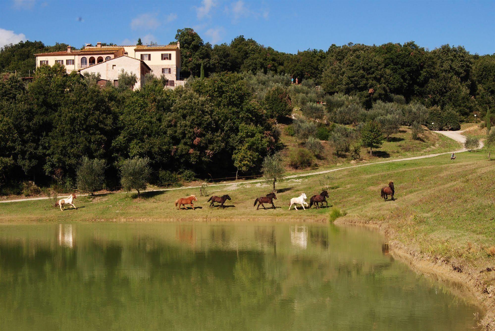 Agriturismo Fattoria Voltrona San Gimignano Exterior foto